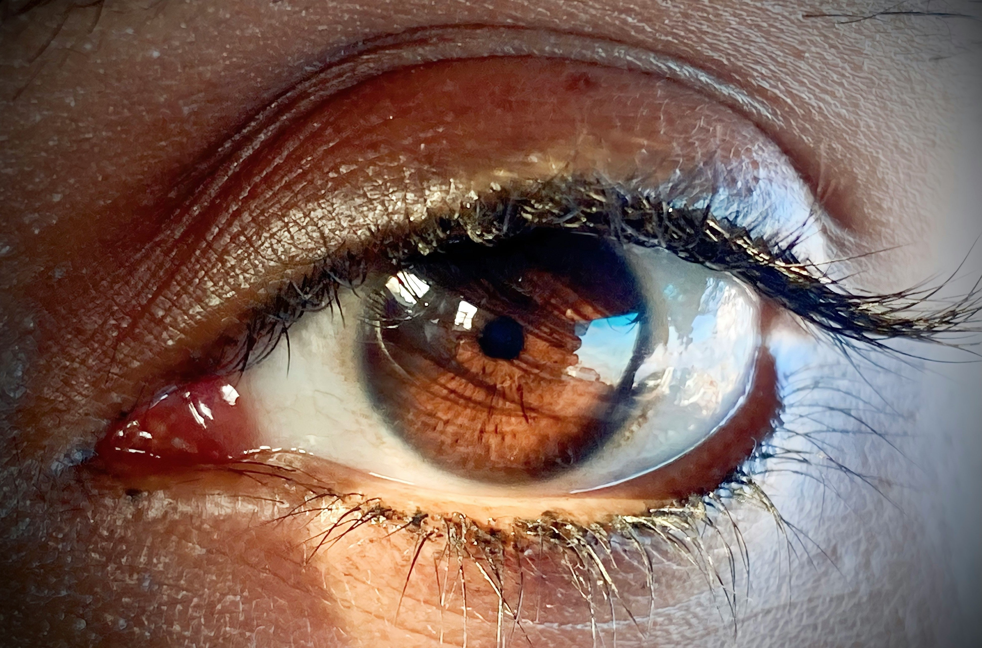 Optometry 101: Why Eye Care Is Important for Everyone