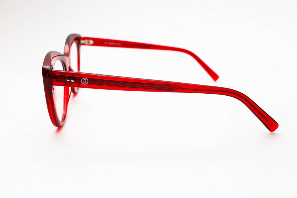 Everglades Swamp - Robert & Sons Optical