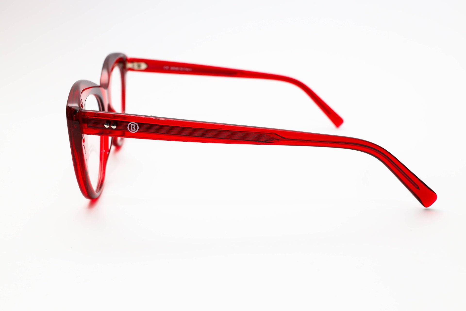 Everglades Swamp - Robert & Sons Optical